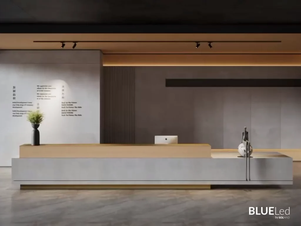 7.7 artist recepcion solmad